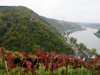 Durch herbstliche Waelder mit Blick auf den Rhein